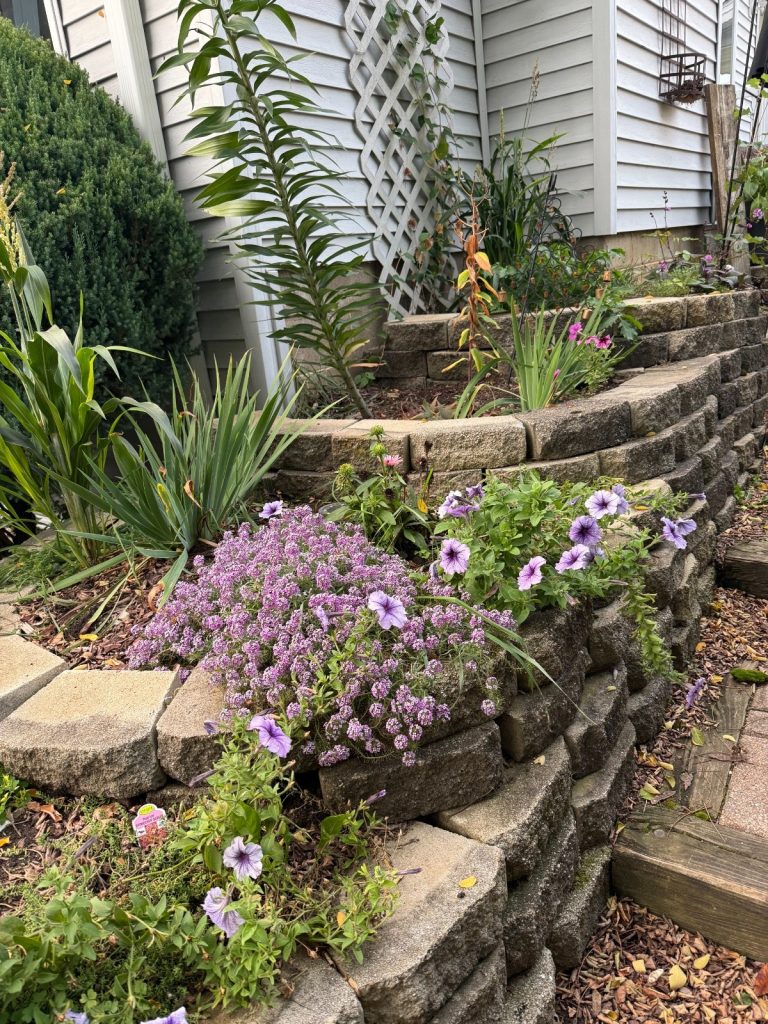 Fully restored garden retaining wall and paver walkway with clean joints and even alignment, surrounded by blooming flowers.